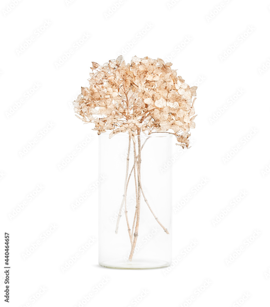 dried flowers in a glass vase isolated on a white background