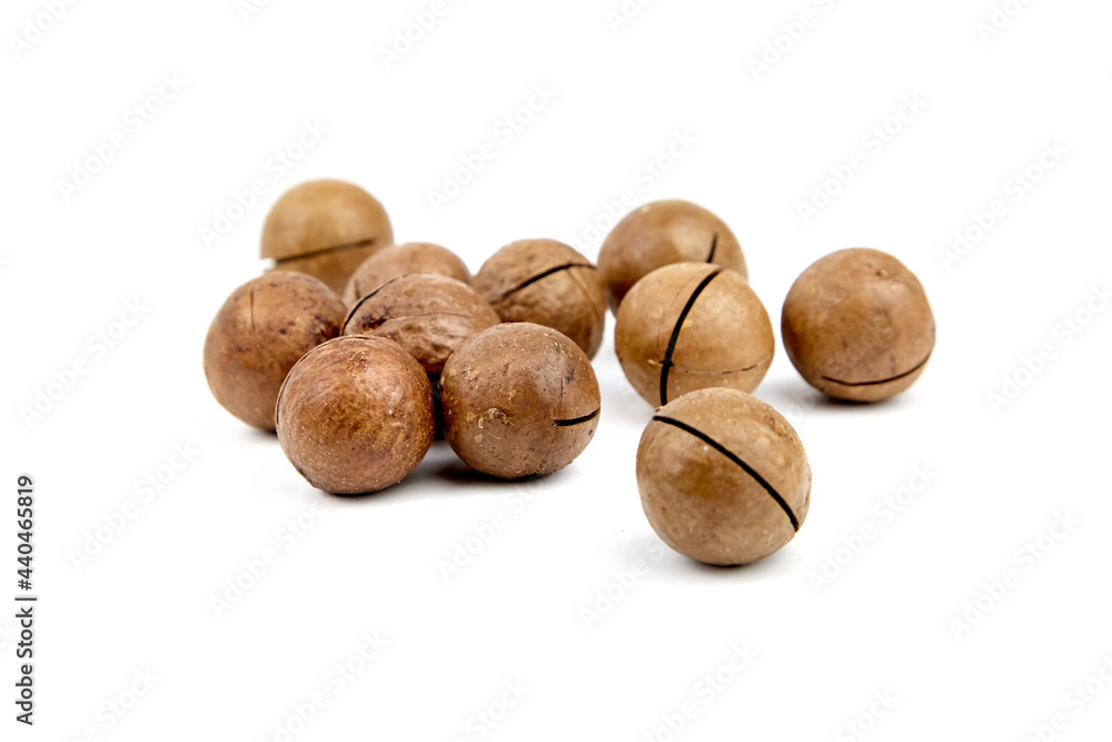 Roasted macadamia nuts in shell isolated on white background. Unshelled macadamia nuts Roasted macadamia nuts in shell isolated on white background. Unshelled macadamia nuts