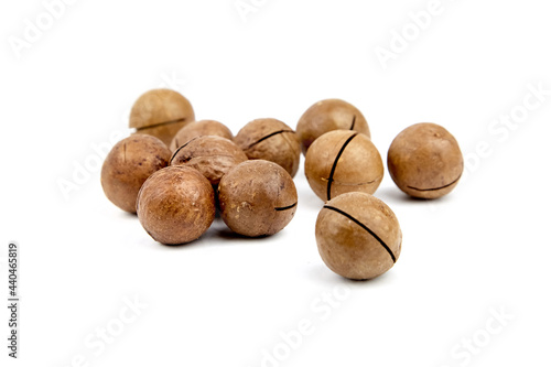 Roasted macadamia nuts in shell isolated on white background. Unshelled macadamia nuts