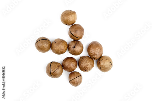 Roasted macadamia nuts in shell isolated on white background. Unshelled macadamia nuts, top view
