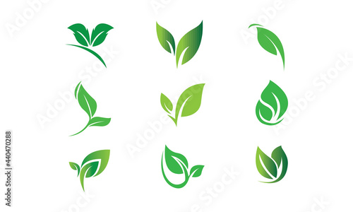 set of leaves logo and icon