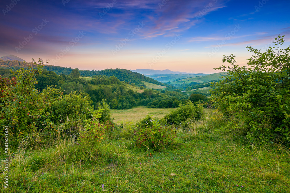 carpathian mountain countryside at sunrise. beautiful rural landscape in summertime with forested hills and grassy pastures in morning light. high peak in the distance