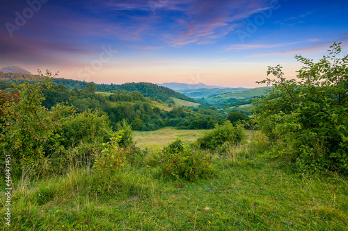 carpathian mountain countryside at sunrise. beautiful rural landscape in summertime with forested hills and grassy pastures in morning light. high peak in the distance