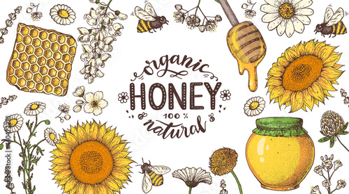 Honey hand drawn vector illustration. Healthy food illustration. Lettering Premium Quality Honey 100% organic. Honeycomb, flowers, jar of honey.