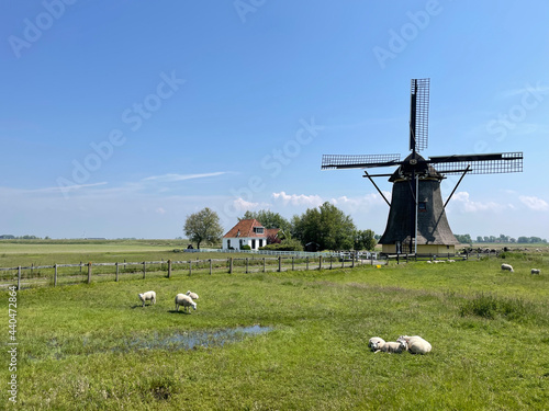 Windmill around Workum photo