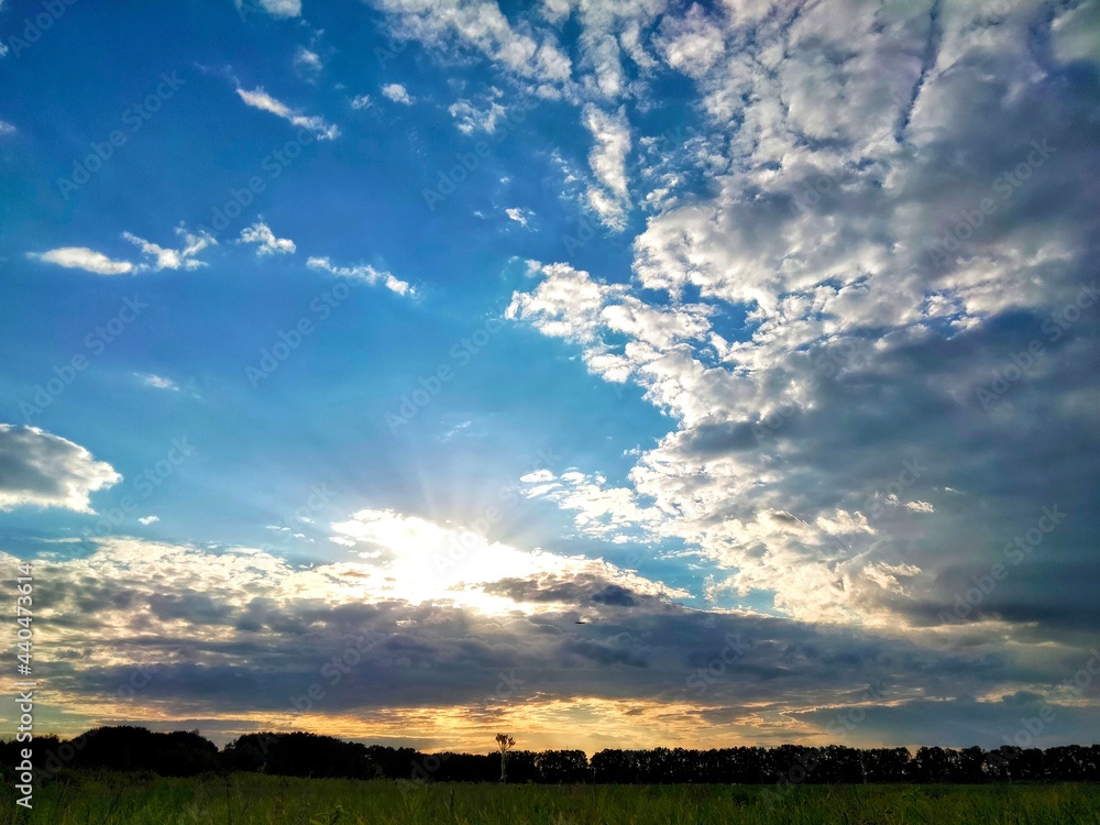 Summer landscape. Lake with coastal vegetation.
Scenery. Summer sunny, cloudy day. Trees and coastal vegetation near the lake
Summer landscape. Lake with coastal vegetation.
Scenery. Summer sunny, cloudy day. Trees and coastal vegetation near the lake