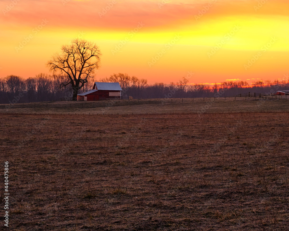 small barn with a tree in silhouette in the midwest. It is late winter with a beautiful sunrise