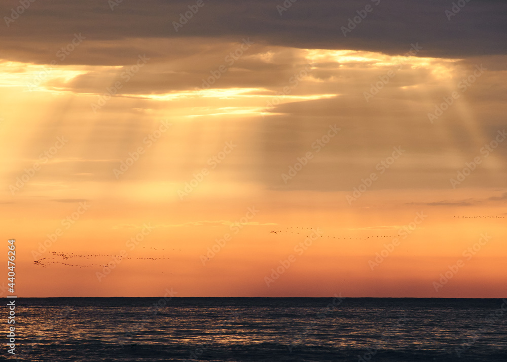 A simple sunset over the ocean with some flocks of birds in the distance
