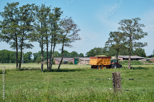 Tractor with silage trailer, freshly mown grassland and road with trees . Farm in the background and fence in the foreground. Dutch picture with a blue sky. Dronten, June 2021 photo