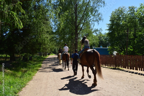 horse riding, horse riding, horse riding park © tanzelya888
