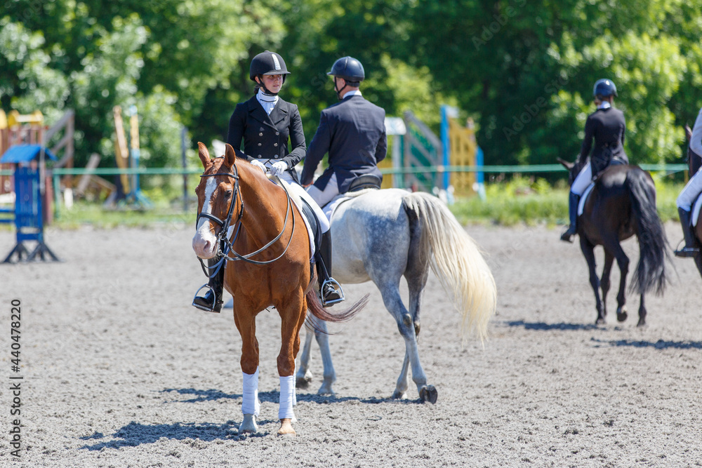 Group of horse riders waiting for dressage test Group of horse riders waiting for dressage test