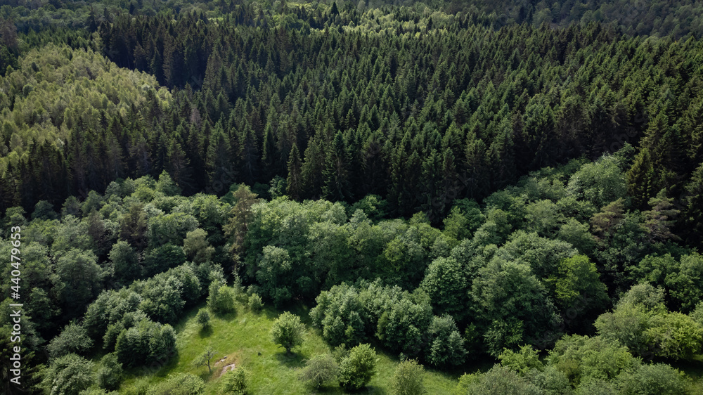 Magnificent view of coniferous and deciduous forest, from above, aerial, bird's eye view. Nature photography of forest taken with a drone in Sweden.
