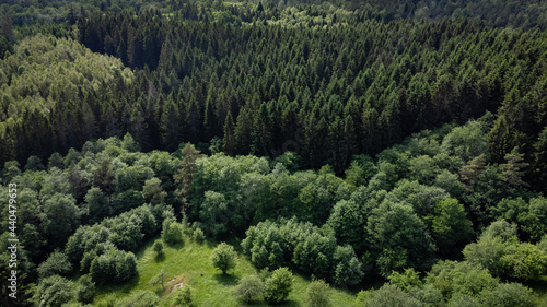 Magnificent view of coniferous and deciduous forest, from above, aerial, bird's eye view. Nature photography of forest taken with a drone in Sweden.