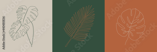 Tropic leaves creative illustration. Minimal line art style icons. Beauty and fashion concept. Eps10 vector.