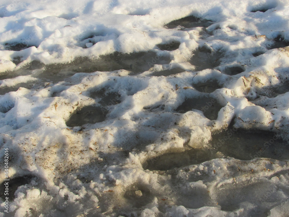 Obraz premium Background: muddy spring melting snow