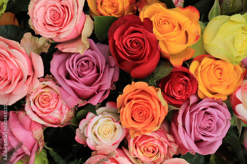 Fototapeta premium Multicolored wedding roses