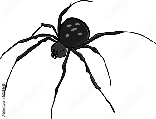 Illustration of a spider isolated on white background vector