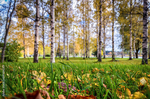 Autumn in city park Finland Joensuu photo