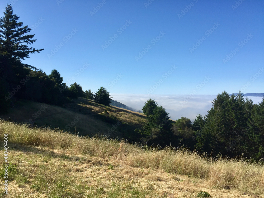 Fototapeta premium Northern California landscape with early morning fog in the valley
