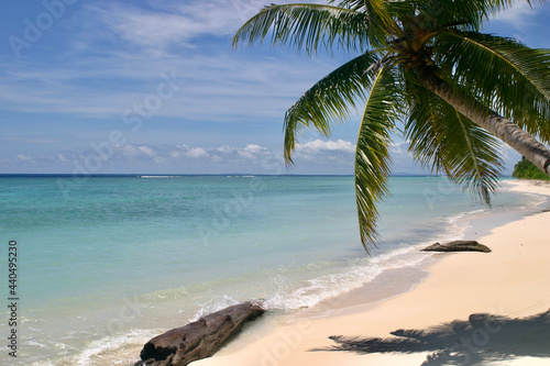 Fototapeta Naklejka Na Ścianę i Meble -  pristine beach in the tropics on a beautiful sunny day