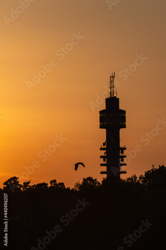 silhouette of the Kakn  s tv-tower in Stockholm at sunset