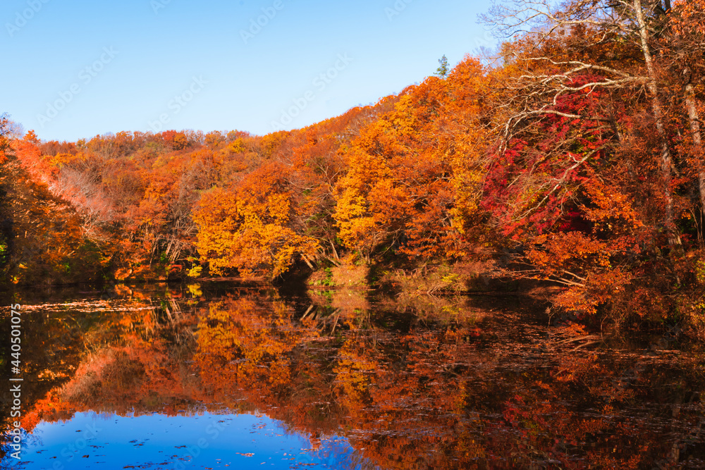 Fototapeta premium 2020年に撮影した震生湖の紅葉