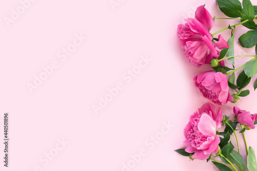 Bouquet of beautiful pink peonies on delicate paper background. Minimal concept backdrop. © Loraliu