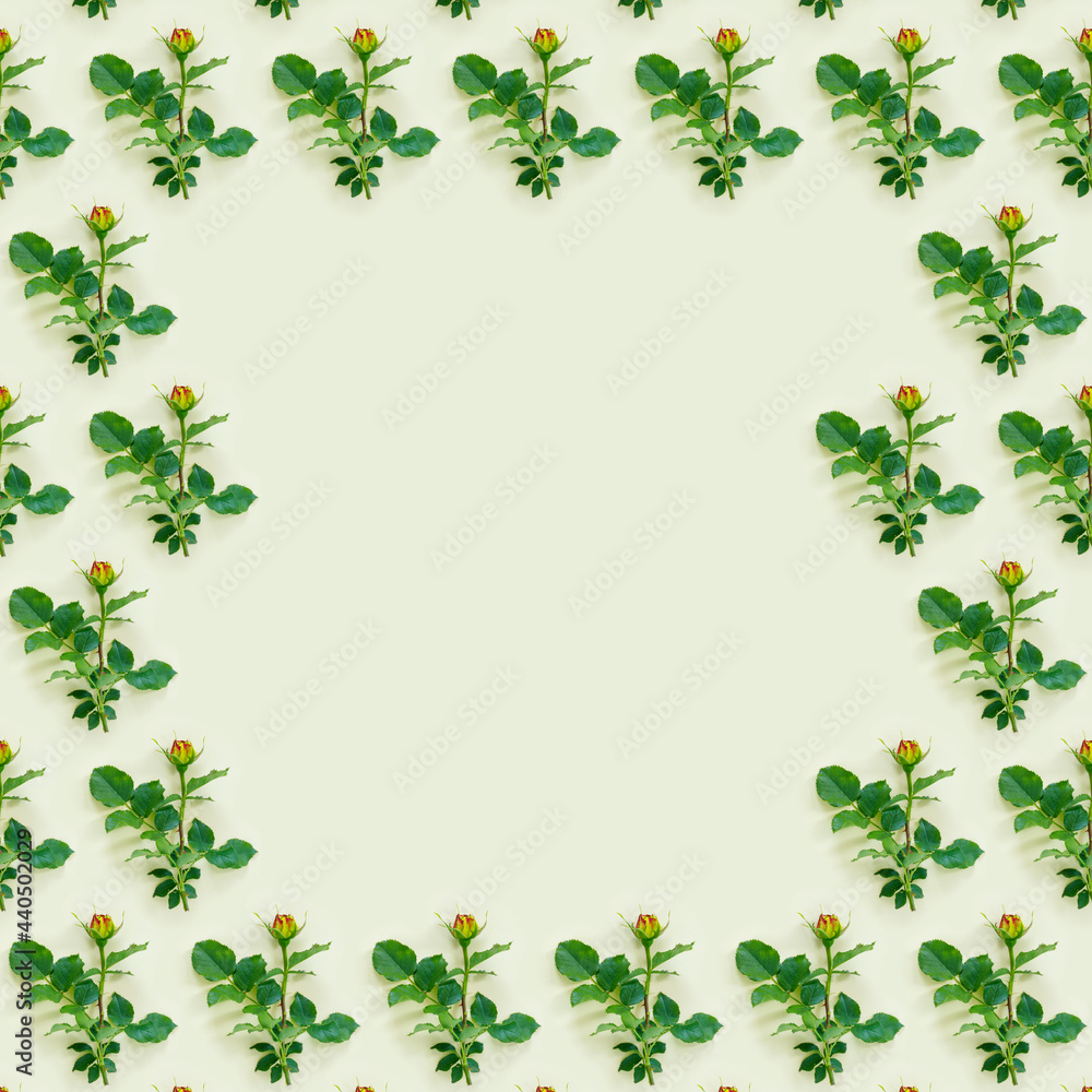 Naklejka premium Flowers valentine day composition. Frame made of pink rose on green background.