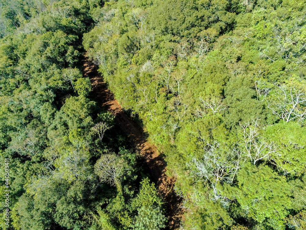 Aerial view of dirty road with forest and vegetation around