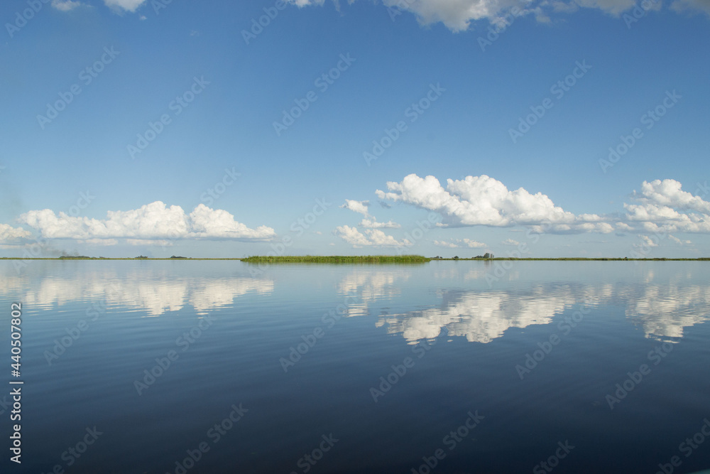 Fototapeta premium Horizonte en el agua en Esteros del Ibera