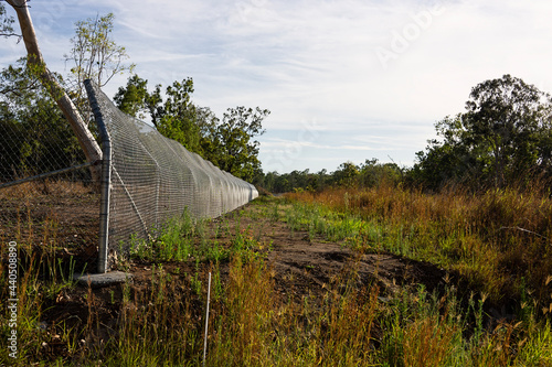Canvas Print Koala and wildlife protection fencing beside a busy highway in Central Queensland, Australia