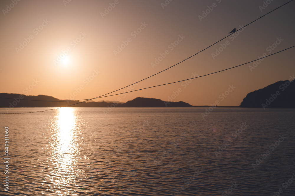 Obraz premium 佐賀県唐津市呼子の海に沈む夕日と電線にツバメ