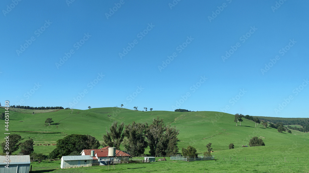 Obraz premium Australian farming country side in the South West of Western Australia