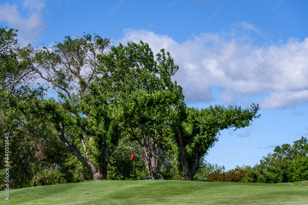 Sunny golf, fairway up to a green with a red flag, leafy trees and sky in the background
Sunny golf, fairway up to a green with a red flag, leafy trees and sky in the background