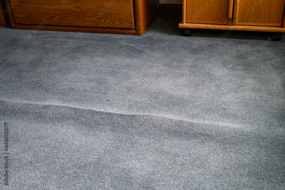 Old, stained, and wrinkled blue carpet poses a tripping hazard, home  interior Stock Photo | Adobe Stock