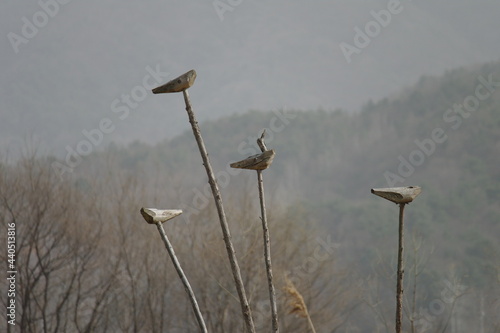 Bird-shaped pieces in S.KOREA