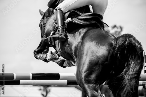 Fotografia, Obraz Horse Jumping, Equestrian Sports, Show Jumping themed photo.