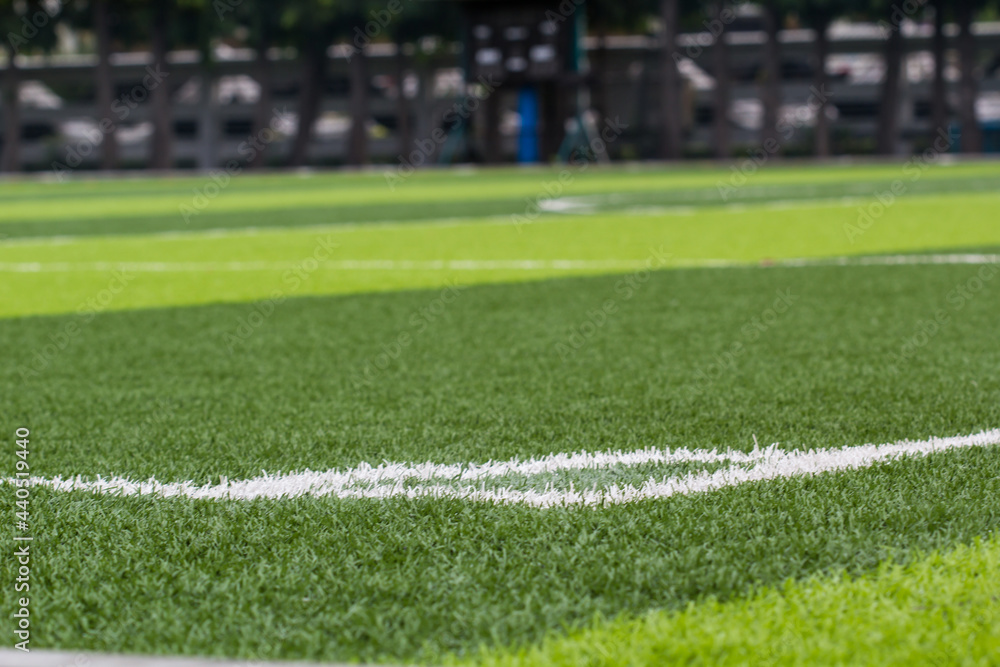 Obraz premium White stripe on the green soccer field