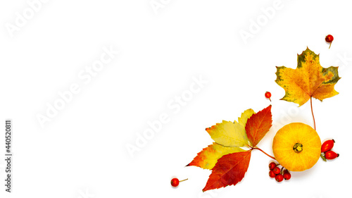 Halloween concept. Natural food  harvest with orange pumpkin  fall dried leaves  rowan berries isolated on white background. Beauty Holiday autumn festival concept. Fall scene.