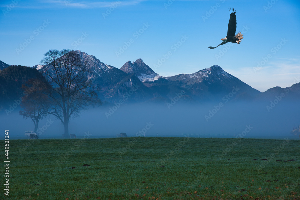 未明のババリア地方を飛ぶ鷲