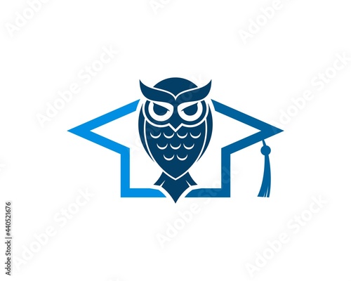 Simple education hat with owl inside