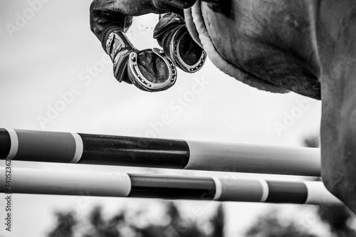 Fotobehang Horse Jumping, Equestrian Sports, Show Jumping themed photo.