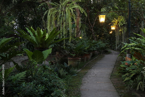 Der Weg durch den Garten bei Nacht  Philippinen