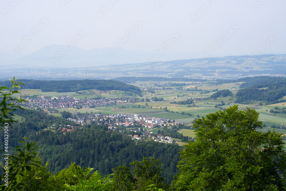 Beautiful panoramic landscape seen from local mountain Uetliberg canton Zurich on a hazy summer morning. Photo taken June 18th, 2021, Zurich, Switzerland.