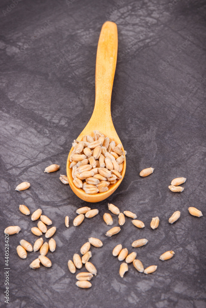 Rye or wheat grains with spoon, agriculture concept Rye or wheat grains with spoon, agriculture concept