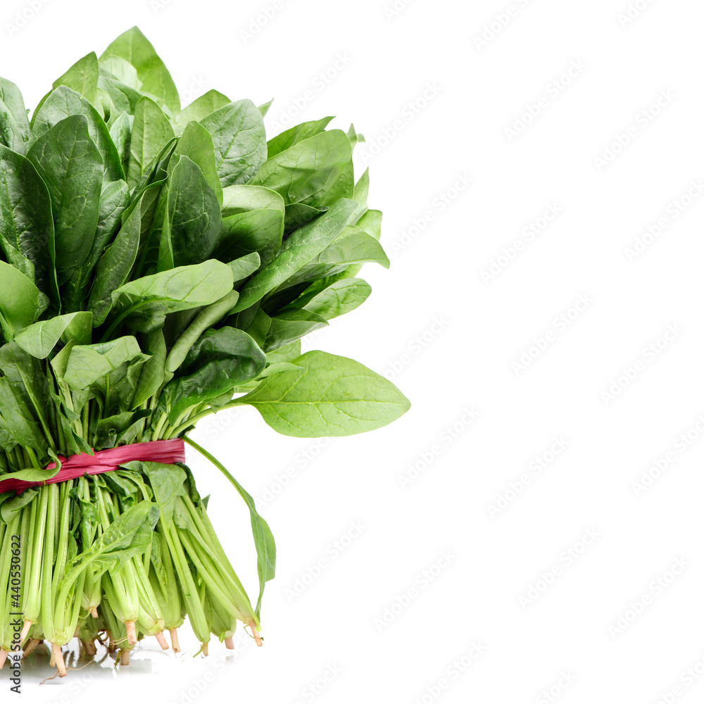 Spinach on white background Spinach on white background