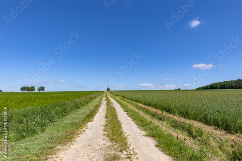 The dirt road leads to the horizon