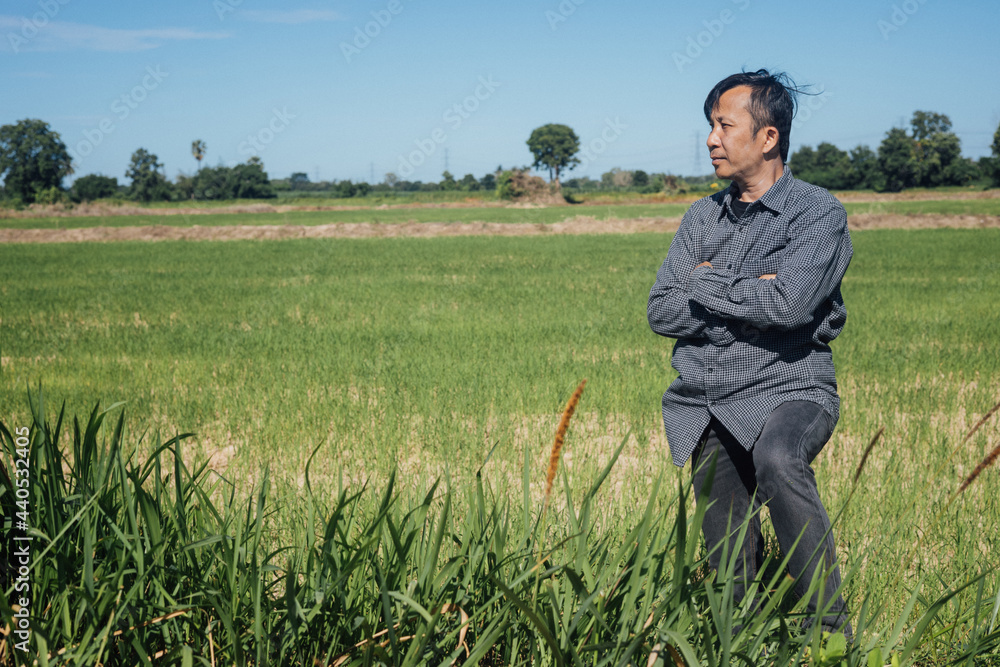 A modern farmer stands proud of his farmland in bright sunlight during the day. A modern farmer stands proud of his farmland in bright sunlight during the day.