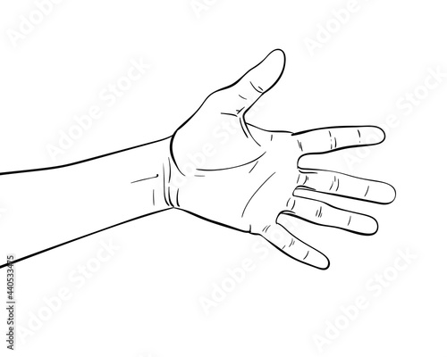 hand vector sketch isolated drawing