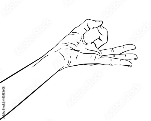 hand vector sketch isolated drawing